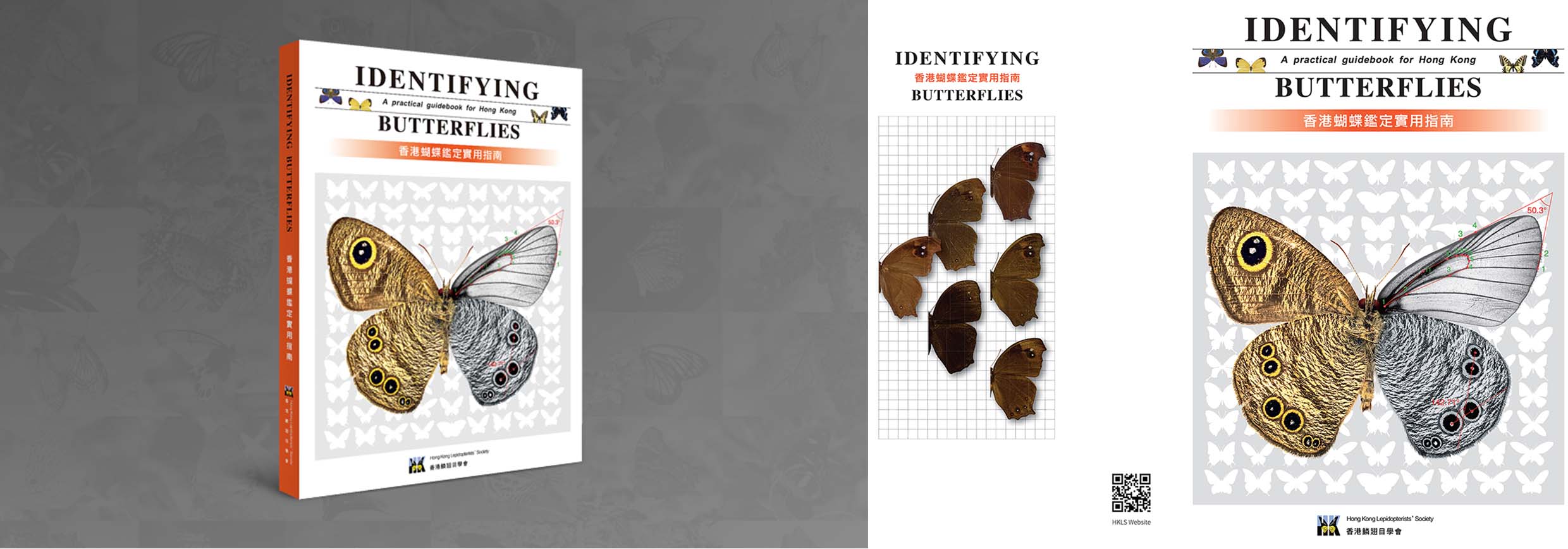 Identifying Butterflies – A practical guide for Hong Kong 香港蝴蝶鑑定實用指南| 香港 鱗翅目學會 Identifying Butterflies – A practical guide for Hong Kong 香港蝴蝶鑑定實用指南| 香港 鱗翅目學會